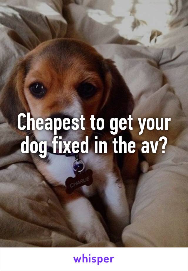 Cheapest to get your dog fixed in the av?