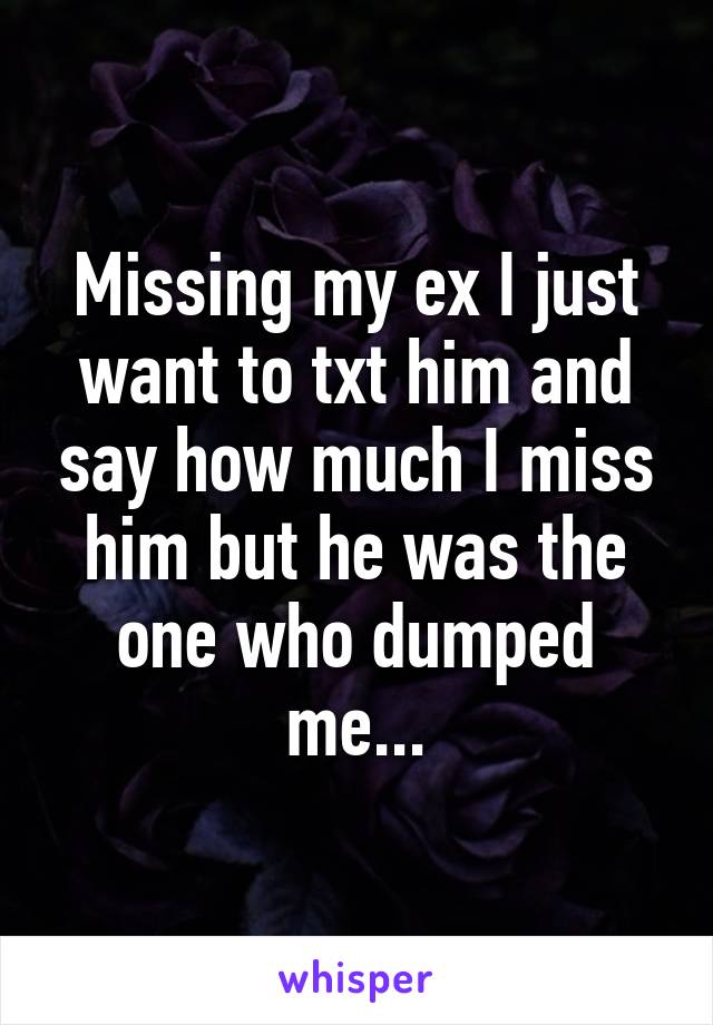 Missing my ex I just want to txt him and say how much I miss him but he was the one who dumped me...