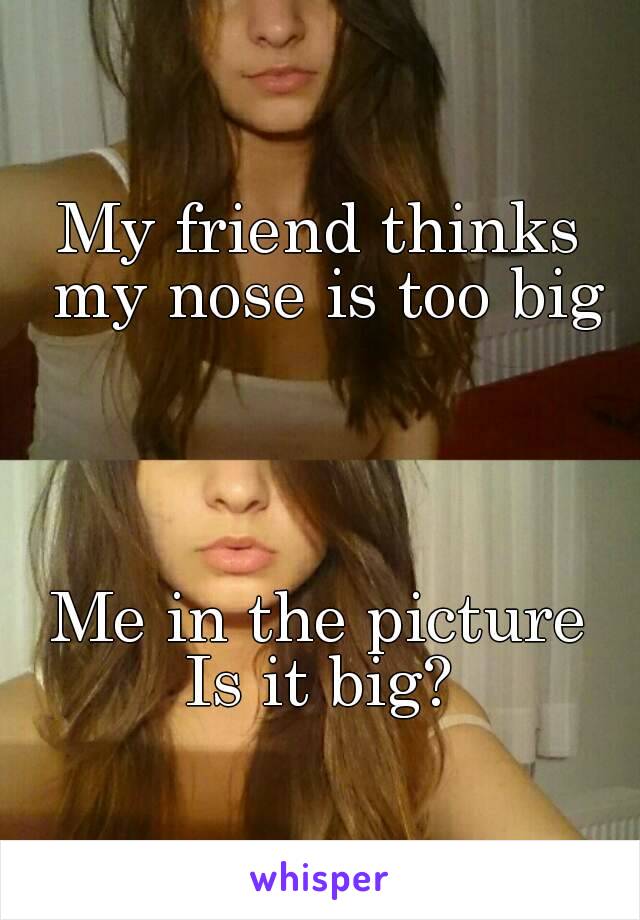 My friend thinks my nose is too big




Me in the picture
Is it big?