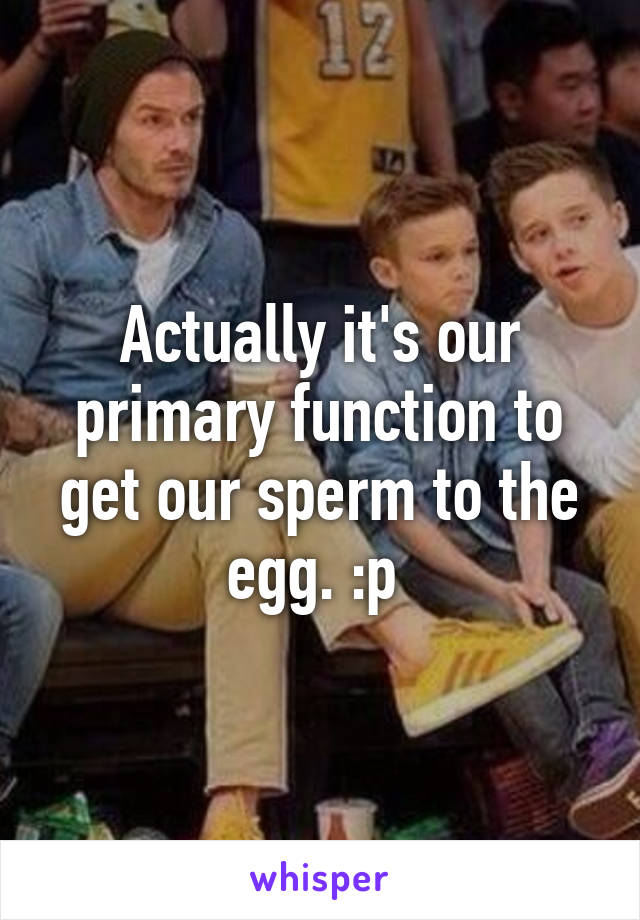 Actually it's our primary function to get our sperm to the egg. :p 