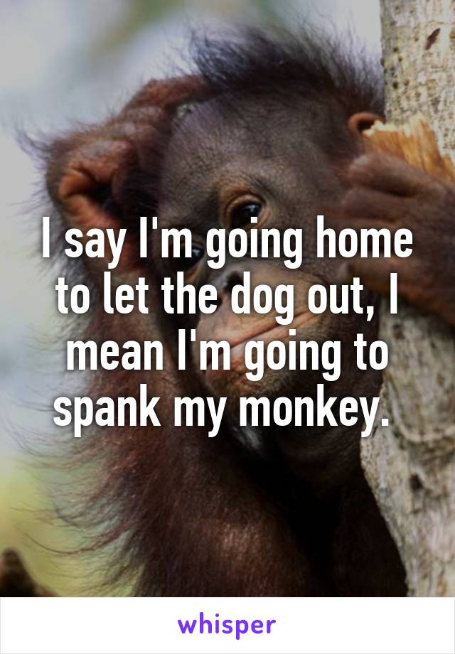 I say I'm going home to let the dog out, I mean I'm going to spank my monkey. 