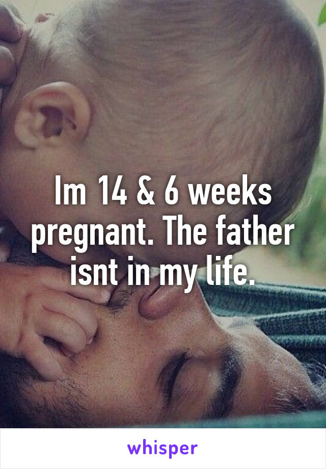 Im 14 & 6 weeks pregnant. The father isnt in my life.