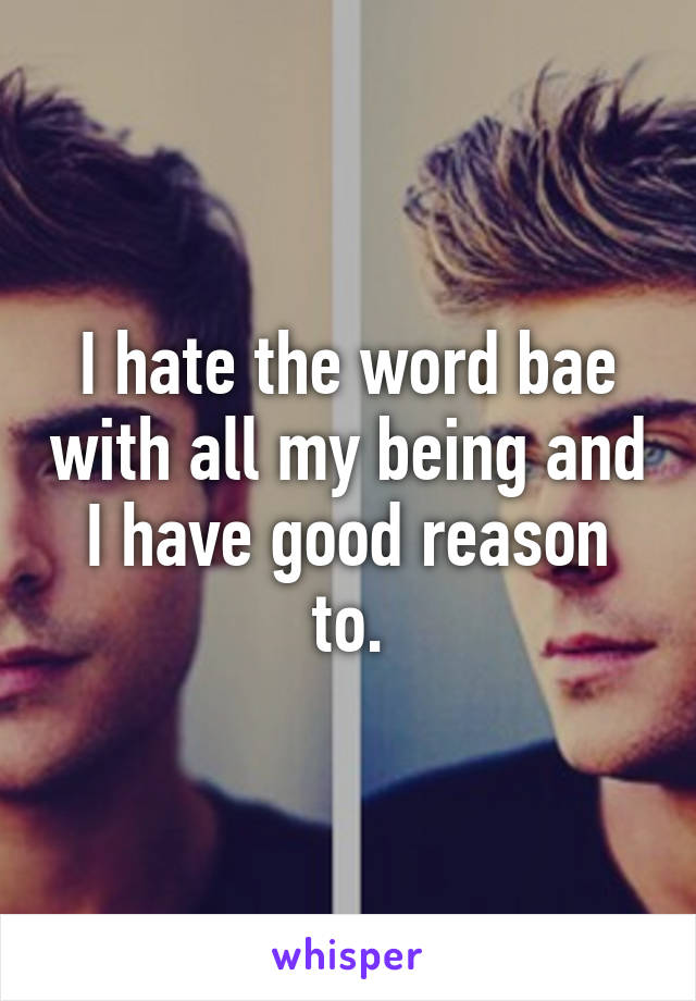 I hate the word bae with all my being and I have good reason to.