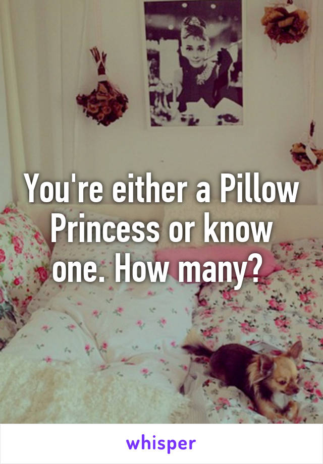 You're either a Pillow Princess or know one. How many? 