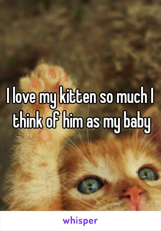 I love my kitten so much I think of him as my baby