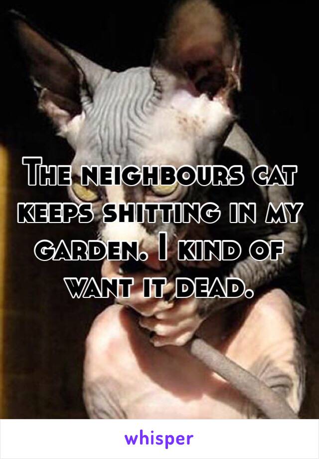 The neighbours cat keeps shitting in my garden. I kind of want it dead. 