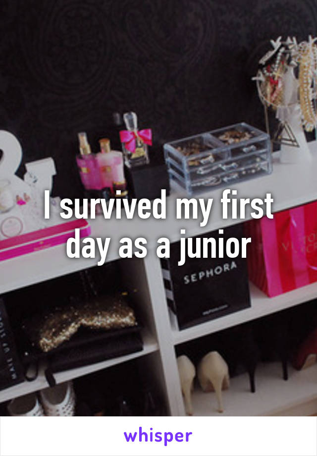 I survived my first day as a junior