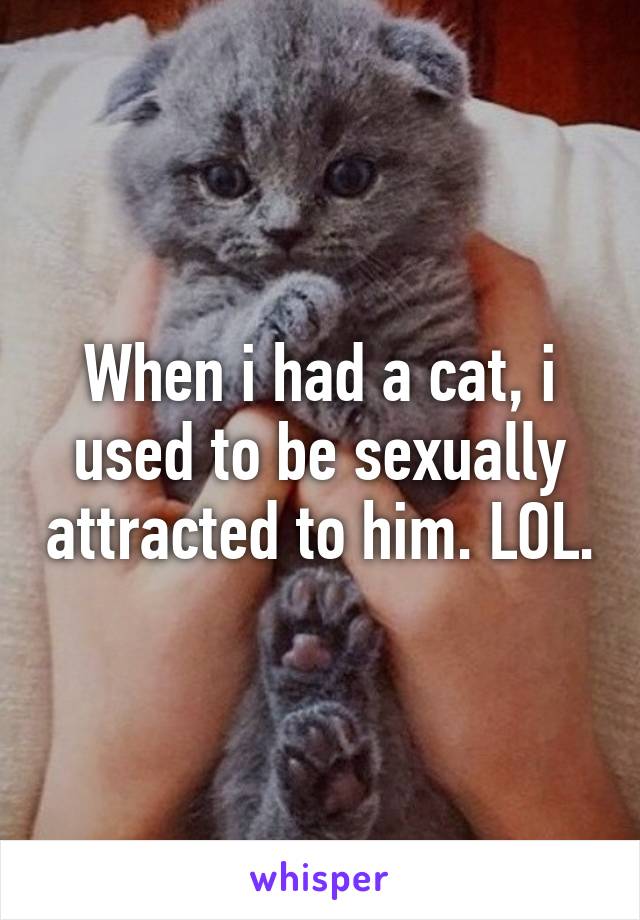 When i had a cat, i used to be sexually attracted to him. LOL.