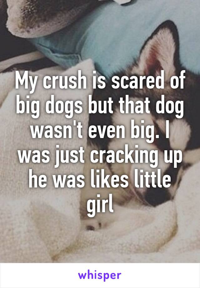 My crush is scared of big dogs but that dog wasn't even big. I was just cracking up he was likes little girl