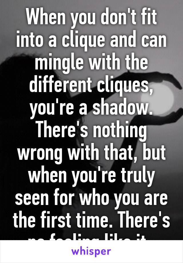 When you don't fit into a clique and can mingle with the different cliques, you're a shadow. There's nothing wrong with that, but when you're truly seen for who you are the first time. There's no feeling like it. 