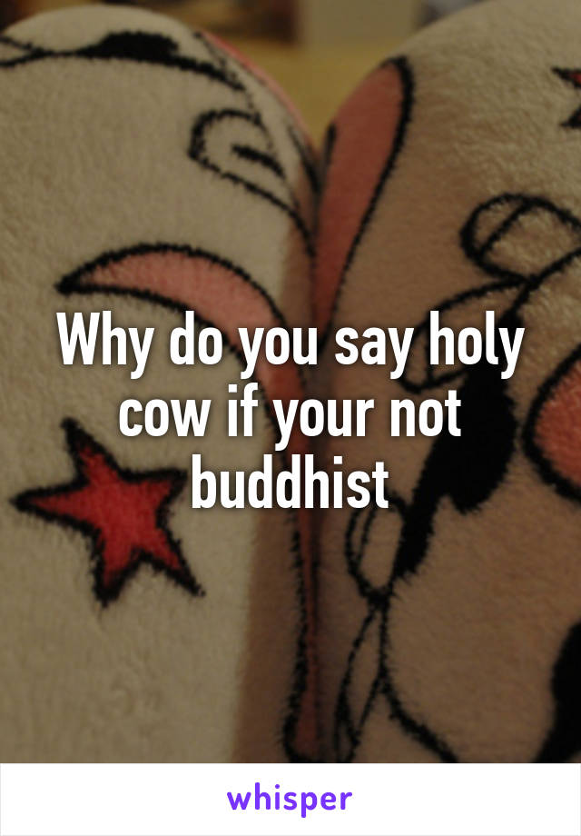 Why do you say holy cow if your not buddhist