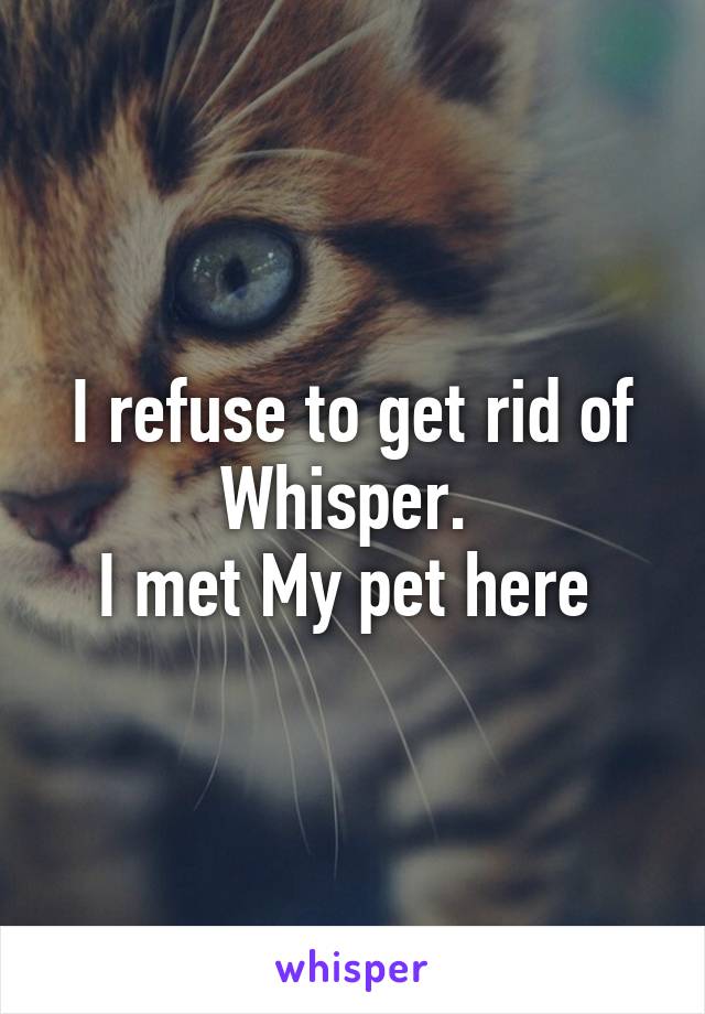 I refuse to get rid of Whisper. 
I met My pet here 