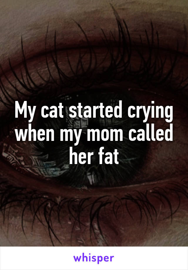 My cat started crying when my mom called her fat