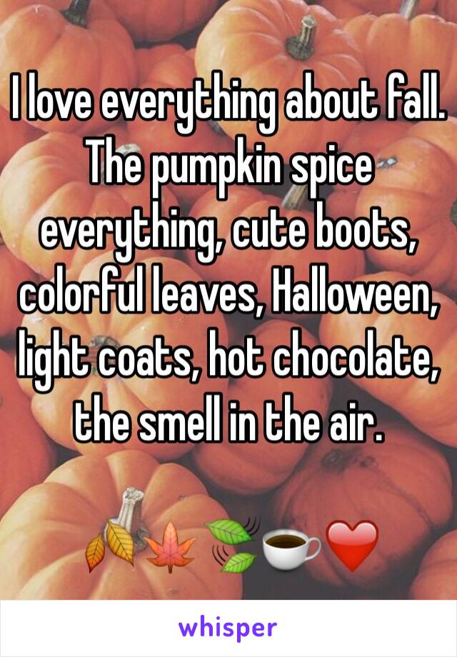 I love everything about fall. The pumpkin spice everything, cute boots, colorful leaves, Halloween, light coats, hot chocolate, the smell in the air. 

🍂🍁🍃☕️❤️