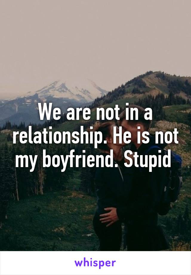 We are not in a relationship. He is not my boyfriend. Stupid 