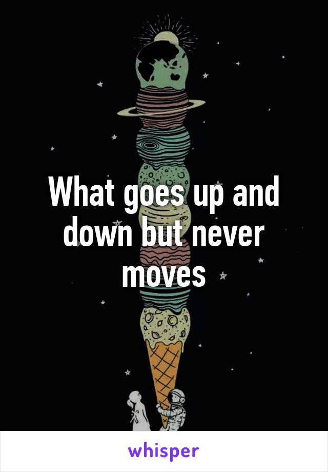 What goes up and down but never moves