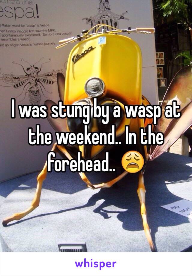 I was stung by a wasp at the weekend.. In the forehead.. 😩