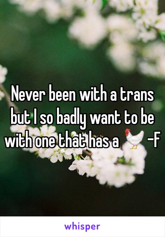 Never been with a trans but I so badly want to be with one that has a 🐓 -F