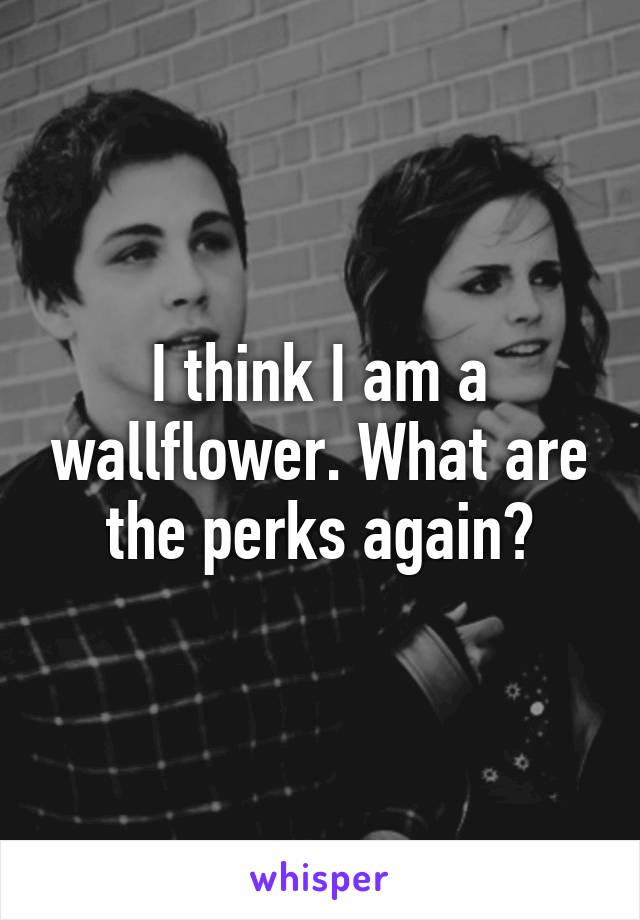 I think I am a wallflower. What are the perks again?