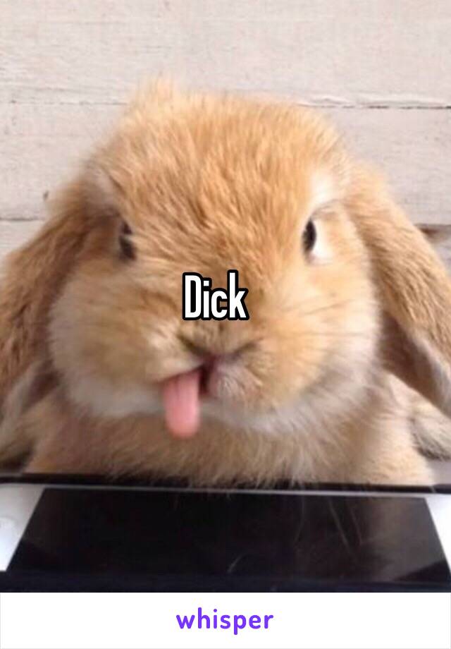 Dick 