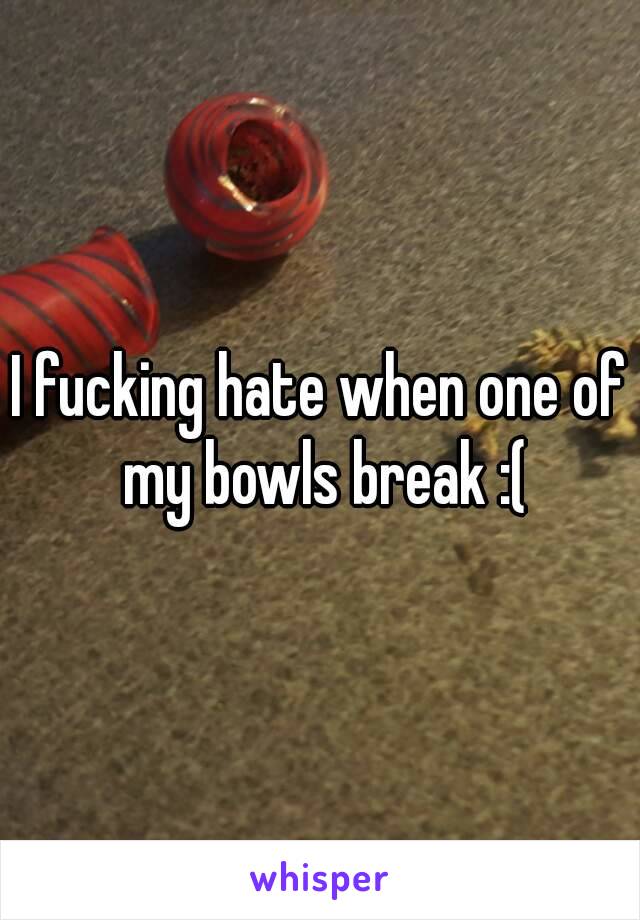 I fucking hate when one of my bowls break :(