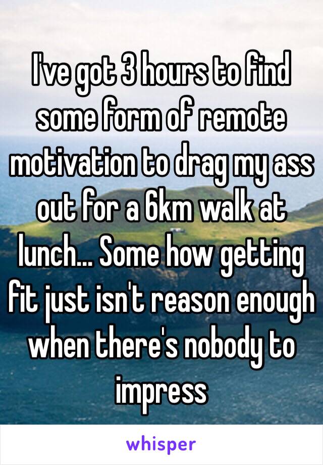 I've got 3 hours to find some form of remote motivation to drag my ass out for a 6km walk at lunch... Some how getting fit just isn't reason enough when there's nobody to impress