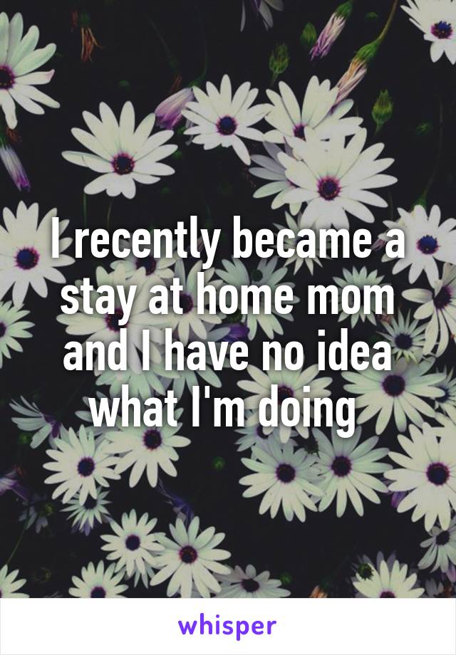 I recently became a stay at home mom and I have no idea what I'm doing 