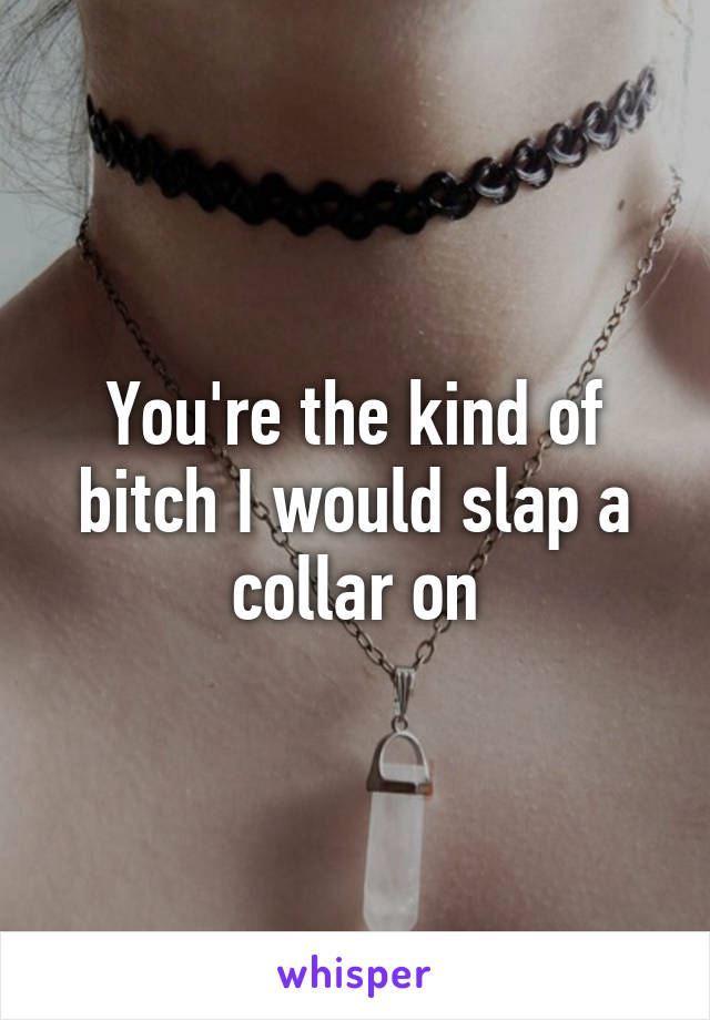 You're the kind of bitch I would slap a collar on