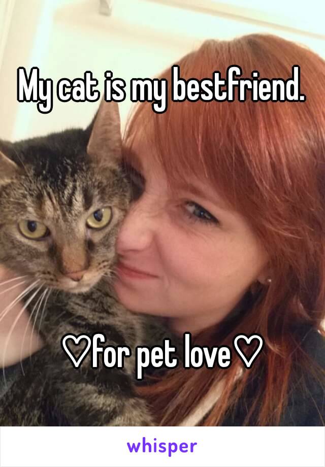 My cat is my bestfriend.





♡for pet love♡