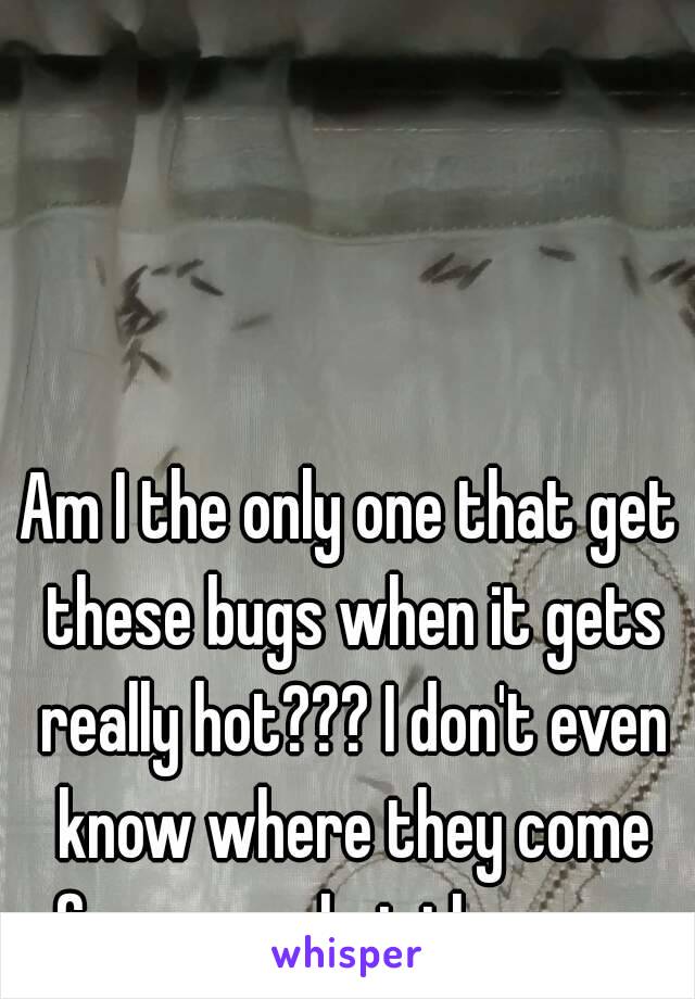 Am I the only one that get these bugs when it gets really hot??? I don't even know where they come from or what they are 