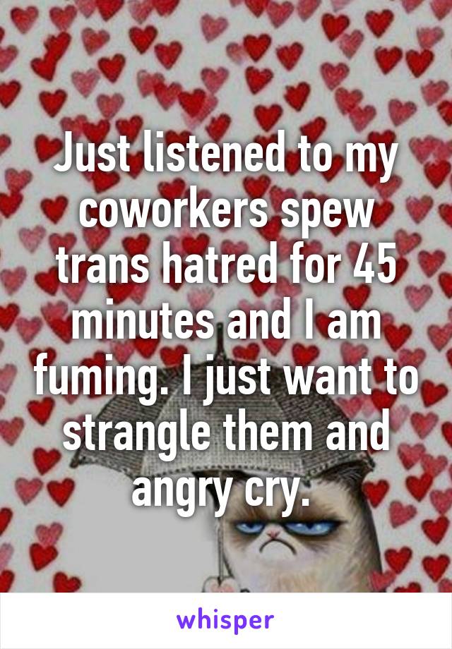 Just listened to my coworkers spew trans hatred for 45 minutes and I am fuming. I just want to strangle them and angry cry. 