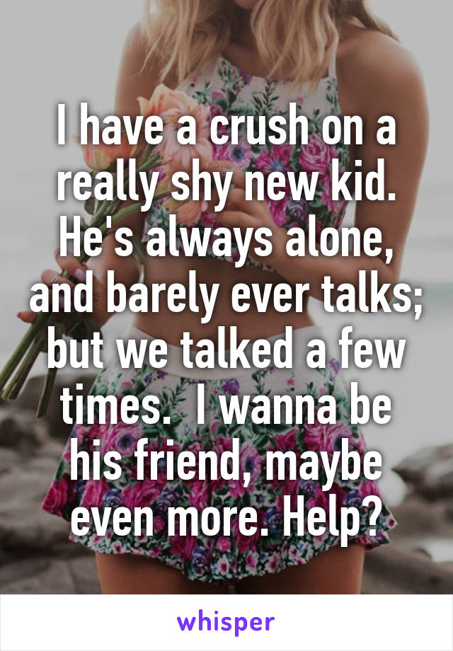 I have a crush on a really shy new kid. He's always alone, and barely ever talks; but we talked a few times.  I wanna be his friend, maybe even more. Help?