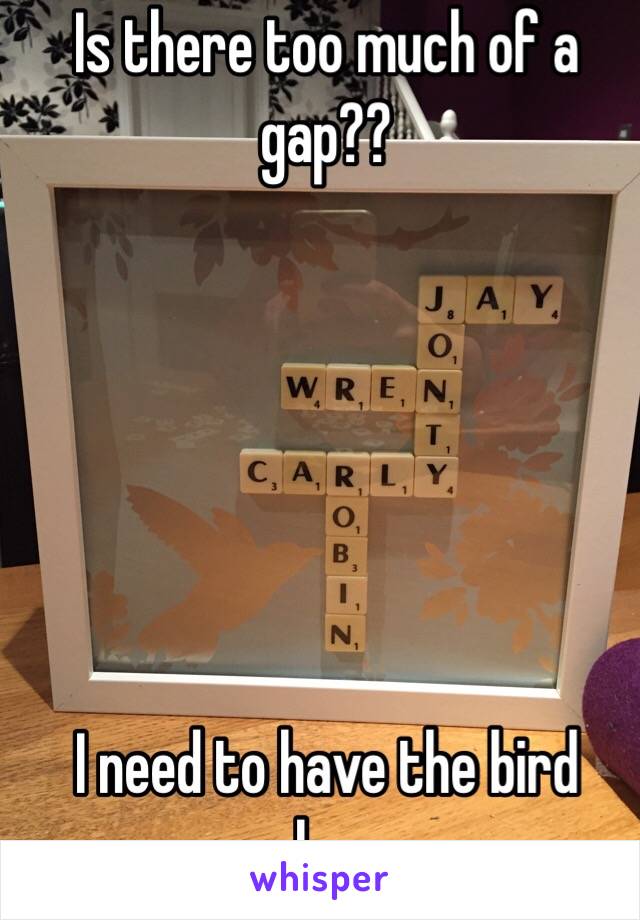 Is there too much of a gap?? 






I need to have the bird clear 