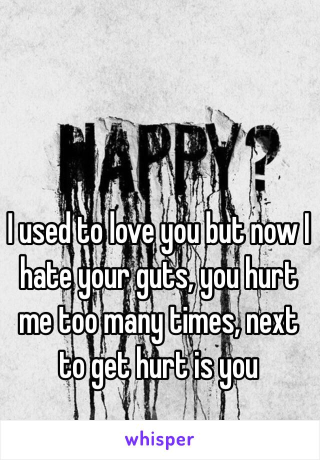 I used to love you but now I hate your guts, you hurt me too many times, next to get hurt is you