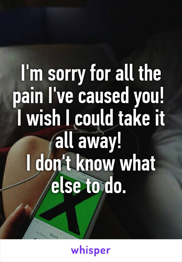 I'm sorry for all the pain I've caused you! 
I wish I could take it all away! 
I don't know what else to do. 