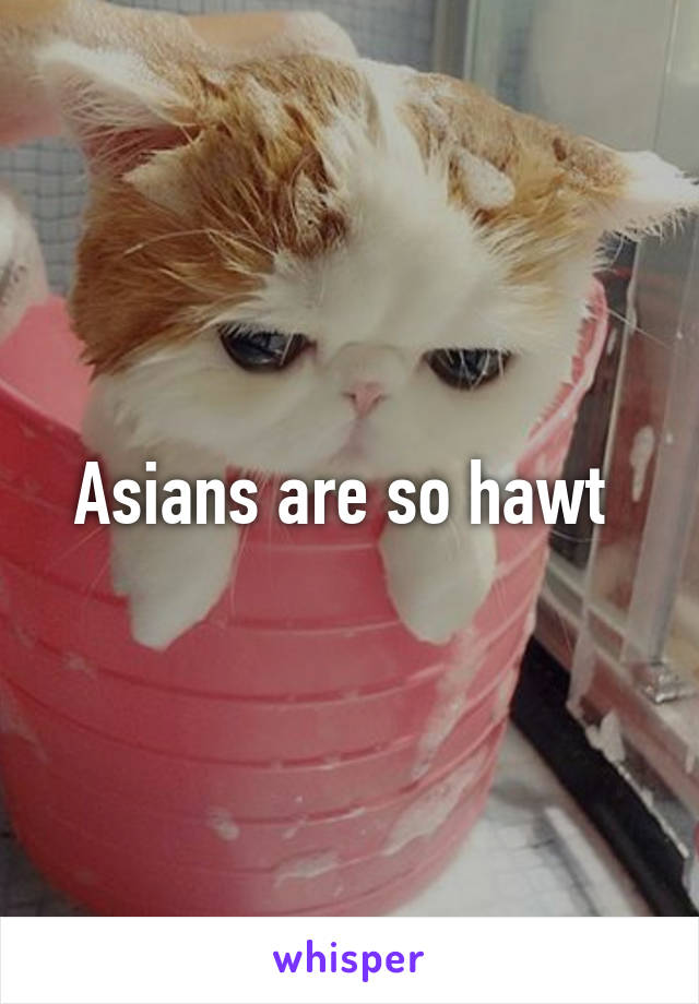 Asians are so hawt 