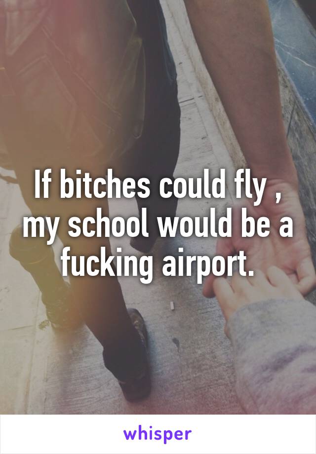 If bitches could fly , my school would be a fucking airport.