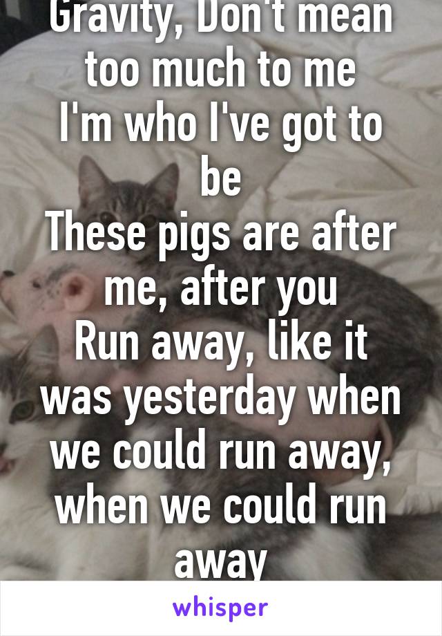 Gravity, Don't mean too much to me
I'm who I've got to be
These pigs are after me, after you
Run away, like it was yesterday when we could run away, when we could run away
Run away from here