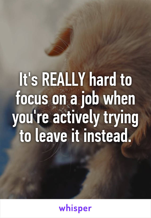 It's REALLY hard to focus on a job when you're actively trying to leave it instead.