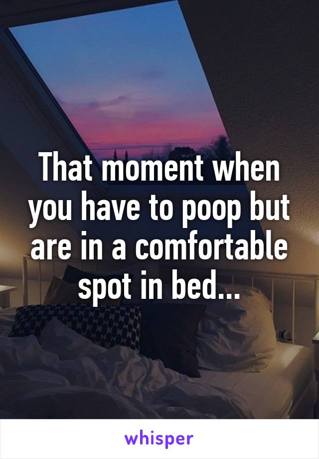 That moment when you have to poop but are in a comfortable spot in bed...