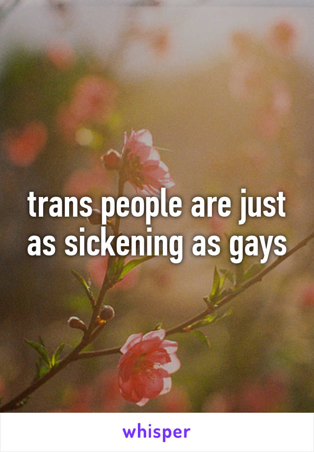 trans people are just as sickening as gays