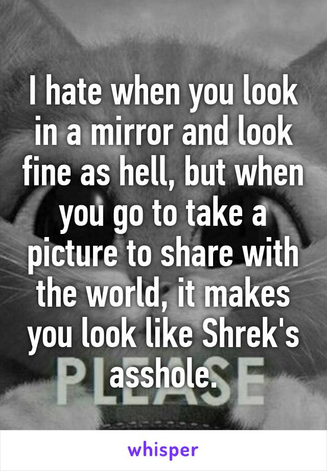 I hate when you look in a mirror and look fine as hell, but when you go to take a picture to share with the world, it makes you look like Shrek's asshole.