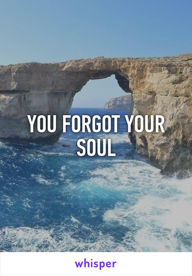 YOU FORGOT YOUR SOUL