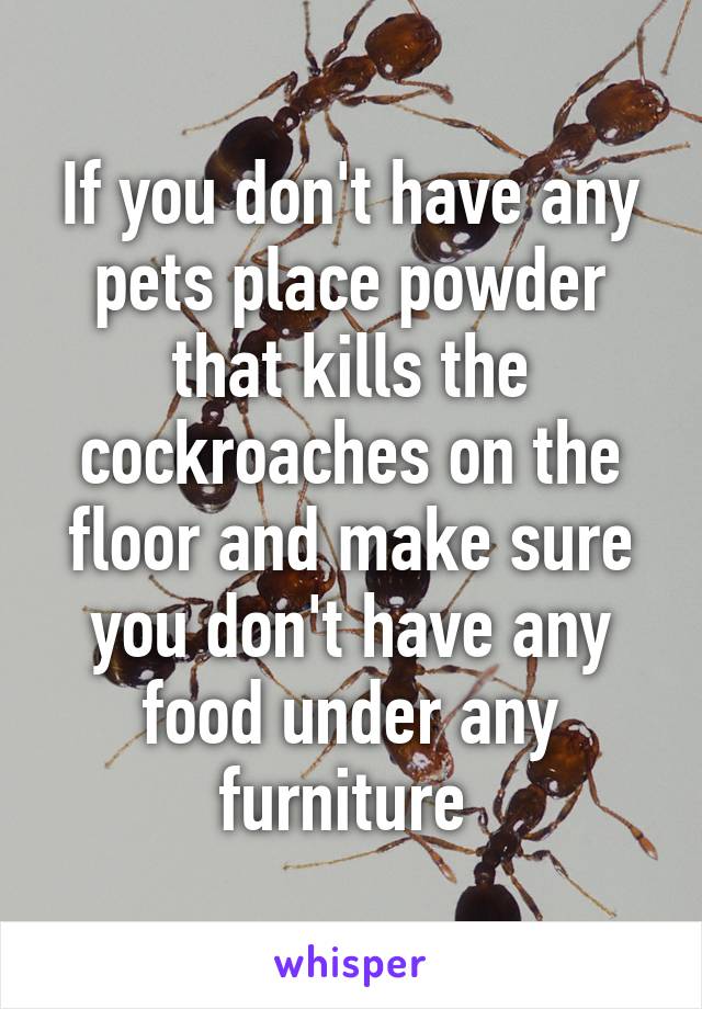 If you don't have any pets place powder that kills the cockroaches on the floor and make sure you don't have any food under any furniture 