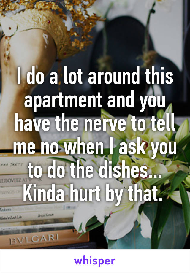 I do a lot around this apartment and you have the nerve to tell me no when I ask you to do the dishes... Kinda hurt by that. 