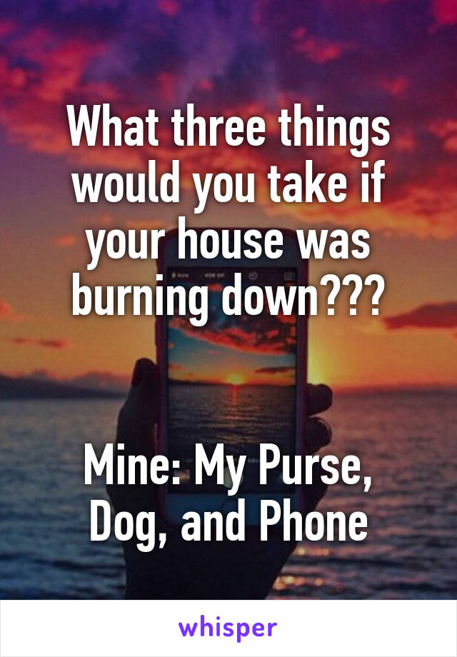 What three things would you take if your house was burning down???


Mine: My Purse, Dog, and Phone