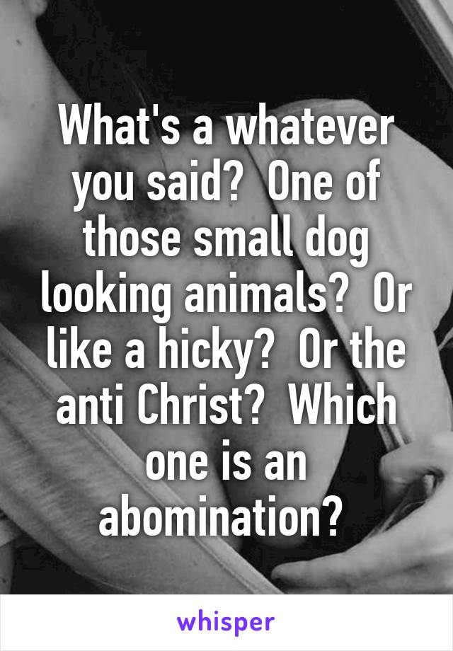 What's a whatever you said?  One of those small dog looking animals?  Or like a hicky?  Or the anti Christ?  Which one is an abomination? 