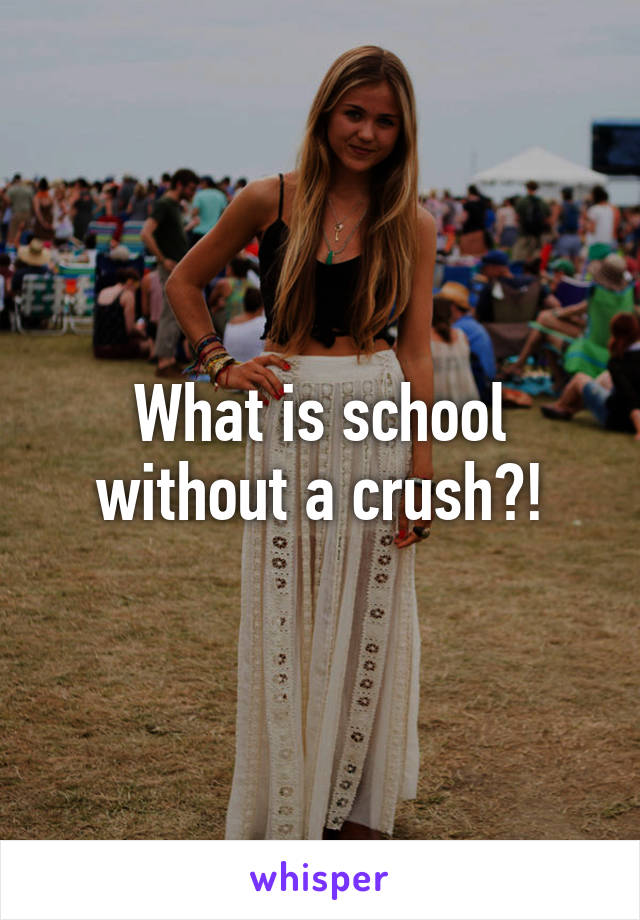 What is school without a crush?!