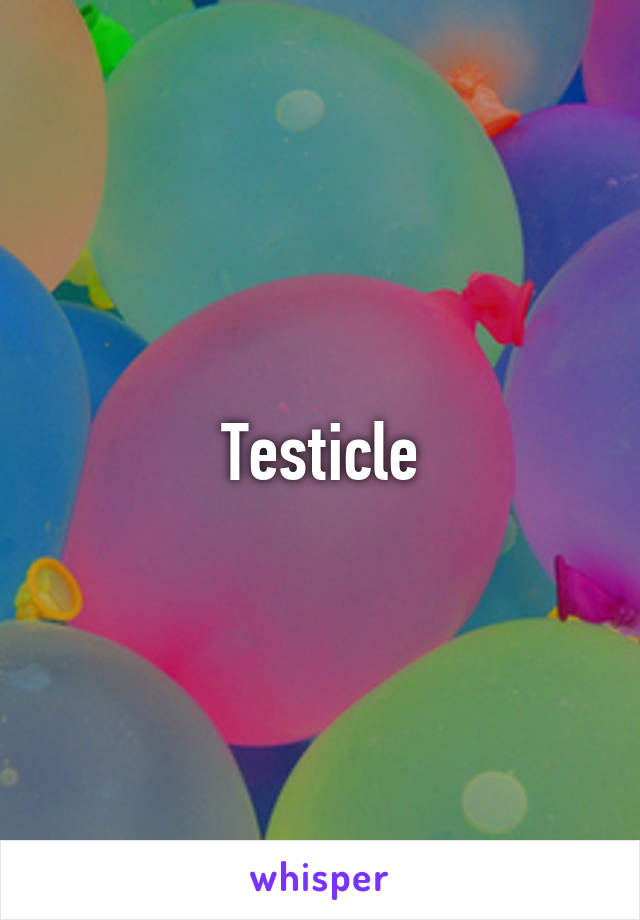 Testicle