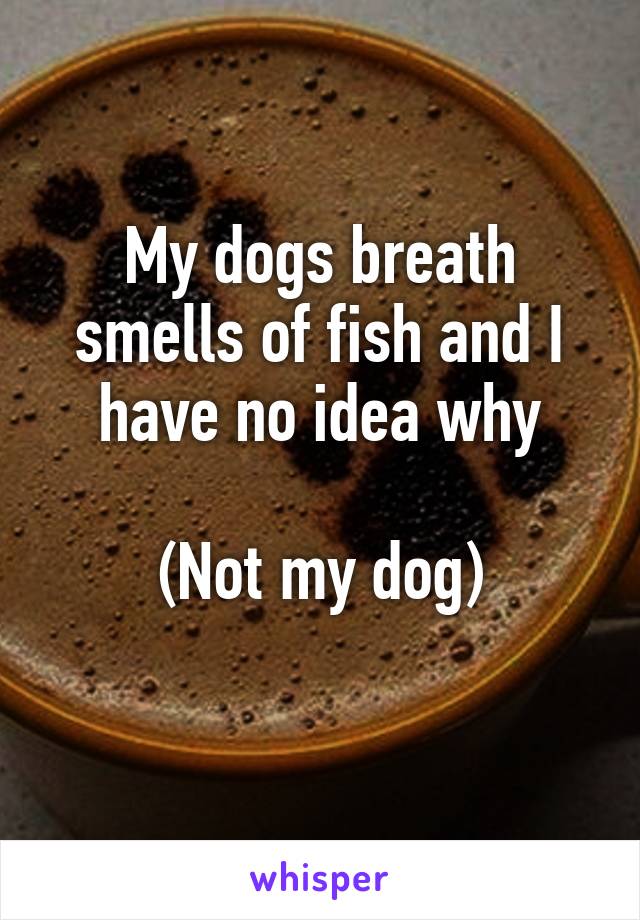 My dogs breath smells of fish and I have no idea why

(Not my dog)
